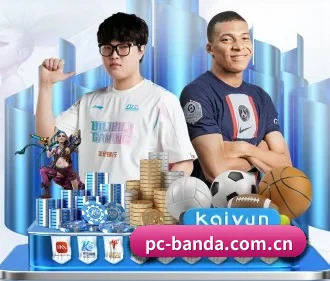 半岛综合 APP